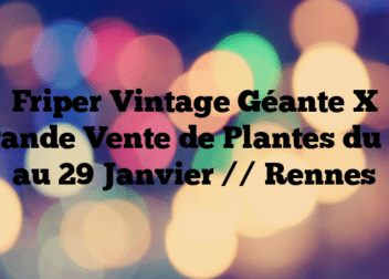 Friper Vintage Géante X Grande Vente de Plantes du 27 au 29 Janvier // Rennes